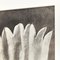 Fotografia vintage floreale in bianco e nero di Karl Blossfeldt, 1942, Immagine 5