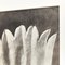 Vintage Black & White Flower Photograph by Karl Blossfeldt, 1942, Image 5