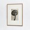 Fotografia vintage floreale in bianco e nero di Karl Blossfeldt, 1942, Immagine 12