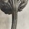 Vintage Black & White Flower Photograph by Karl Blossfeldt, 1942, Image 4