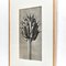 Black and White Botanic Print by Karl Blossfeldt, 1942, Image 10