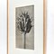 Impresión botánica en blanco y negro de Karl Blossfeldt, 1942, Imagen 10