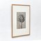 Black and White Botanic Print by Karl Blossfeldt, 1942 11