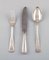 Vintage Danish Silver Cutlery Set from Cohr, Set of 18 1