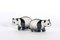 Acrylic Glass Panda Figurines by Abraham Palatnik, 1960s, Set of 2, Image 1