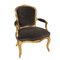 Antike Salon Stühle aus Samt & vergoldetem Holz, 2er Set 4