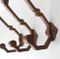 Art Deco French Cast Iron Wall Hooks, 1930s, Set of 3, Image 7