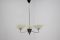 Mid-Century Chandelier from Lidokov, 1960s 1