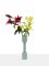 Slim Medeia Pigeon Vase by Llot Llov, Image 4