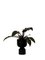 Midi Black Ada Planter by Llot Llov 5