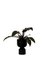 Midi Black Ada Planter by Llot Llov, Image 5