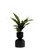 Midi Black Ada Planter by Llot Llov 4