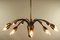 Mid-Century German Brass 12-Light Ceiling Lamp, 1950s 4