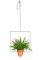 THEO Square Plant Hanger by Llot Llov, 2015, Image 6