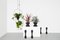 THEO Square Plant Hanger by Llot Llov, 2015, Image 4