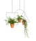 THEO Square Plant Hanger by Llot Llov, 2015 3