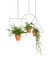 THEO Square Plant Hanger by Llot Llov, 2015, Image 3