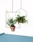 THEO Square Plant Hanger by Llot Llov, 2015, Image 5