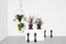 THEO Triangle Plant Hanger by Llot Llov, 2015, Image 5