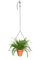 THEO Triangle Plant Hanger by Llot Llov, 2015 4