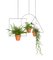 Porte-Plantes THEO Trio par Llot Llov, 2015 6