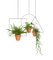 THEO Triangle Plant Hanger by Llot Llov, 2015, Image 6