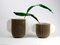 Vases Confinanti par Gumdesign pour La Casa di Pietra, Set de 2 3