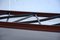 Mid-Century French Rosewood 2-Tier Coffee Table, 1958, Image 3