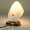 Brass and Frosted Glass Table Lamp, 1950s 4