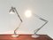 Mid-Century Italian Naskaloris Task Lamp by Archivio Storico for Fontana Arte, Image 2