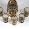 Set with Carafe & Glass from Bohemia, 1950s 5