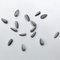 The Unilever Series Fifteen Sunflower Seeds di Ai Weiwei, Immagine 6