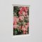 The Rose Garden Nº 47 Druck von David Urbano, 2018 3