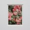 The Rose Garden Prints by David Urbano, 2018, Set of 9 10