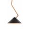Lampada da soffitto in ottone nero di Johan Carpner Grenverk per Konsthantverk Tyringe, Immagine 1