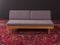 Antimott Cherrywood Daybed from Knoll Inc., 1960s 1