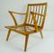 Mid-Century German Cherry and Wool Lounge Chair, 1950s, Image 10