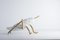 Sculpture de Sauterelle Locusta Migratoria en Marbre Arabescato Blanc par Massimiliano Giornetti pour FiammettaV Home Collection 2