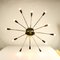 Mid-Century German Brass and Steel Ceiling Lamp, 1950s 2
