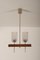 Mid-Century Danish Chandelier with Glass Shades, 1960s, Image 1