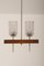 Mid-Century Danish Chandelier with Glass Shades, 1960s 2