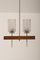 Mid-Century Danish Chandelier with Glass Shades, 1960s, Image 2