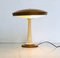 Mid-Century Glass and Steel Table Lamp from Fase, 1960s 8