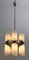 Italienische Deckenlampe aus Stahl & geätztem Glas von Goffredo Reggiani für Reggiani, 1960er 3