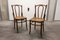 Mid-Century Beech Dining Chairs from Fischel, Set of 2 19