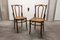 Mid-Century Beech Dining Chairs from Fischel, Set of 2, Image 19