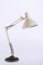 Lámpara de mesa cuello de ganso de metal lacado de Thousand and One Lamps, años 60, Imagen 1