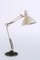 Lámpara de mesa cuello de ganso de metal lacado de Thousand and One Lamps, años 60, Imagen 5