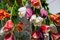 Große Flower Power Deckenlampe aus Muranoglas & künstlichen Tulpen von VGnewtrend 2