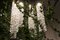 Lampada da soffitto Flower Power in vetro di Murano ed edera artificiale di Vgnewtrend, Immagine 3